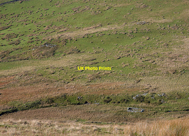 Photo 6"x4" Sheepfolds by the Afon Gwril Abertrinant c2010