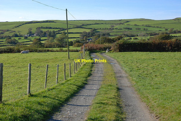 Photo 6"x4" Track to Waun farm Llanegryn c2010