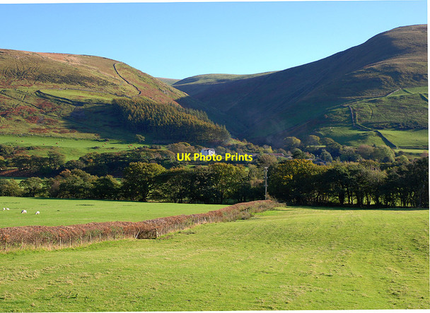 Photo 6"x4" View towards Pandy Brynglas Sta c2010