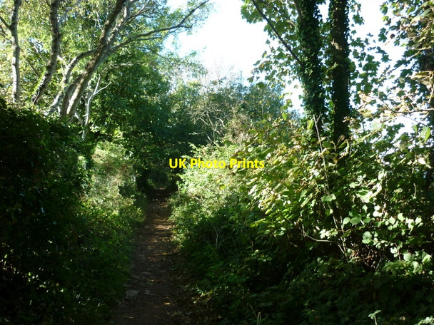 Photo 6"x4" The coastal path to Elberry Cove Broadsands c2010