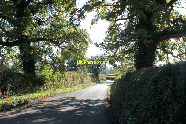 Photo 6"x4" 2010 : Minor road south to Witham Friary Trudoxhill c2010