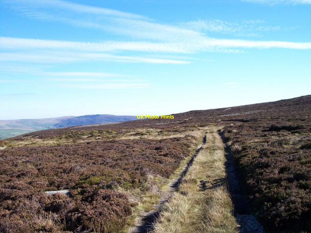 Photo 6"x4" The heather moors on Thorpe Fell Thorpe\/SE0161 c2010