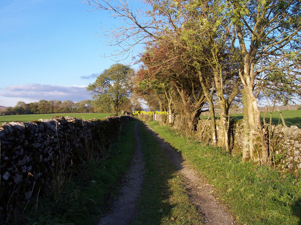 Photo 6"x4" Chapel Lane between Cracoe and Rylstone Cracoe\/SD9760 c2010