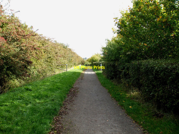 Photo 6"x4" Sweyne Park Bridleway Rayleigh c2010
