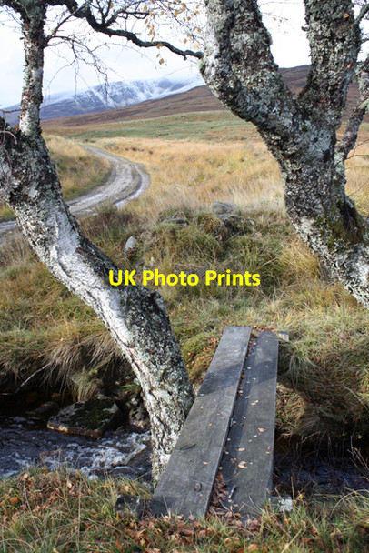 Photo 6"x4" Plank bridge near Aberarder Lodge Kinloch Loggan c2010