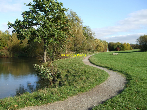 Photo 6"x4" Path by the pond Rayleigh c2010