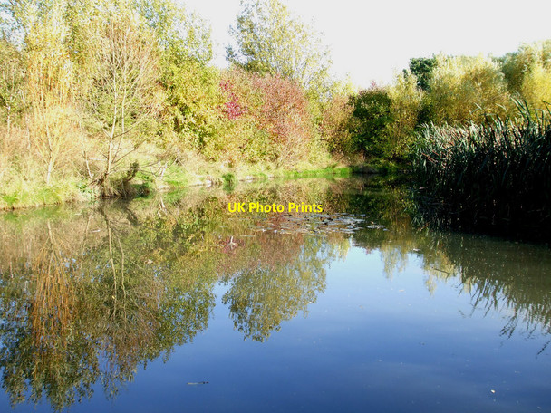 Photo 6"x4" Sweyne Park, the hidden pond Rayleigh c2010