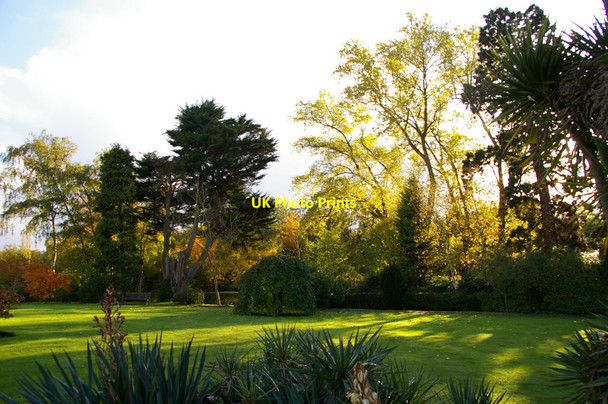 Photo 6"x4" Arboretum, West Lodge Park, Hadley Wood Hadley Wood c2010