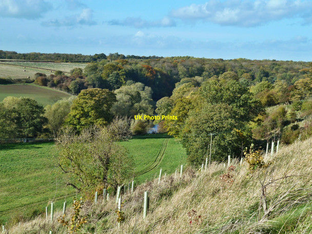 Photo 6"x4" The Tees Valley, Girsby Girsby\/NZ3508 c2010