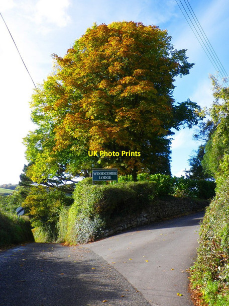 Photo 6"x4" Turning for Woodcombe Lodge Minehead c2010