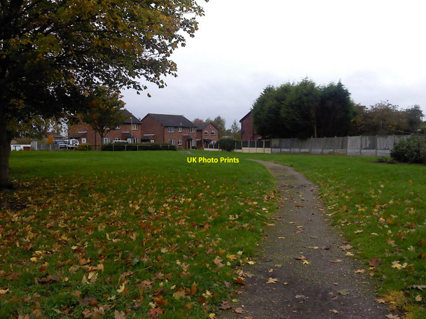 Photo 6"x4" Autumn leaves on the park Kingsfold\/SD5326 c2010