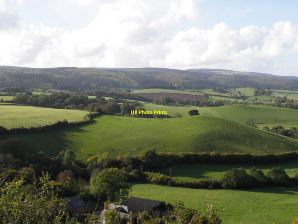 Photo 6"x4" Hills near Wootton Knowle Blackford\/SS9245 c2010