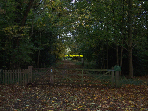 Photo 6"x4" Footpath Near Shugborough Little Haywood c2010