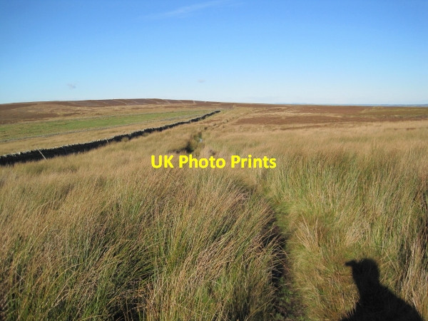 Photo 6"x4" Bridleway near Lough Hill Catton\/NY8257 c2010