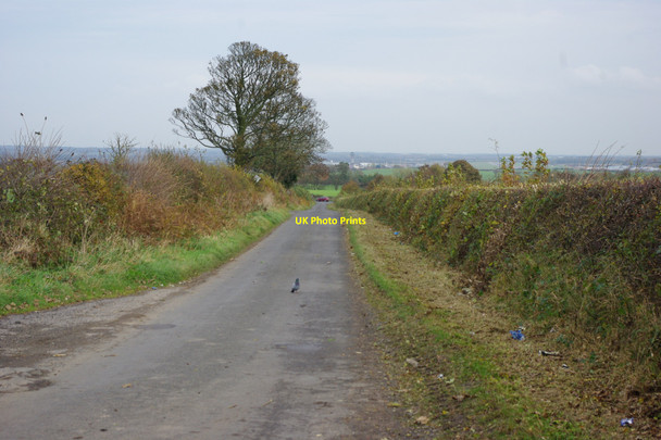 Photo 6"x4" Country Lane Callerton Lane End c2010