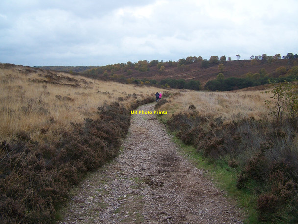 Photo 6"x4" Staffordshire Way, Cannock Chase Bednall Head c2010