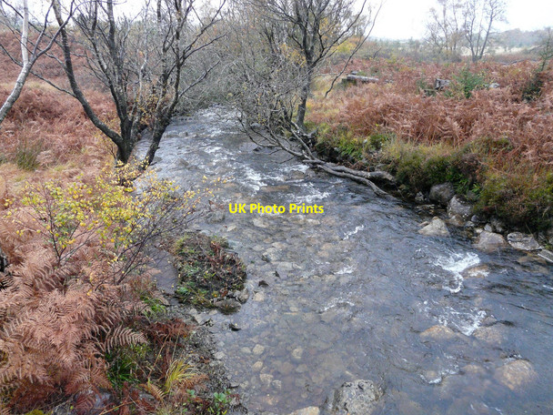 Photo 6"x4" Allt Achadh na M\u00c3\u00b2ine Doire Daraich\/NM6739 c2010