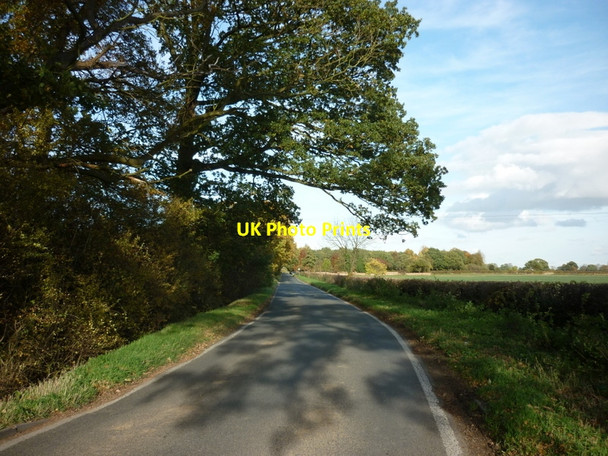 Photo 6"x4" The road to Park Farm near Skelton Skelton\/SE5756 c2010