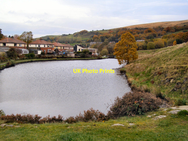 Photo 6"x4" Rochdale Canal, Walsden Knowl Wood\/SD9322 c2010