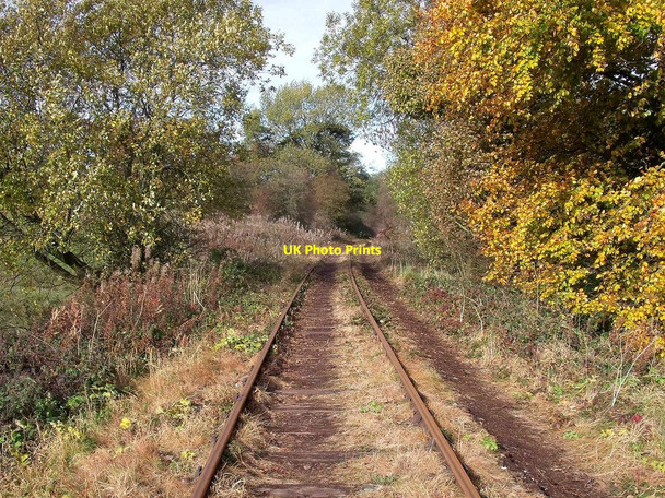 Photo 6"x4" The railway to Caldon Low Quarry Broomyshaw c2010