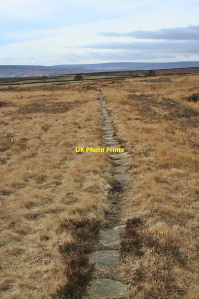 Photo 6"x4" Panniermans Causeway, near Danby Ainthorpe c2008