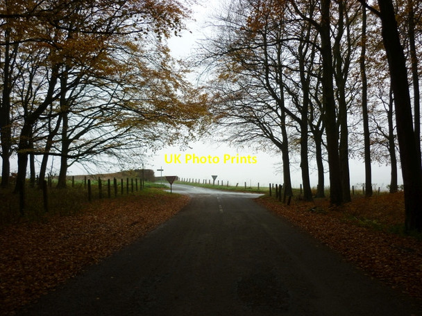 Photo 6"x4" Approaching minor crossroads near Leavening Burythorpe c2010