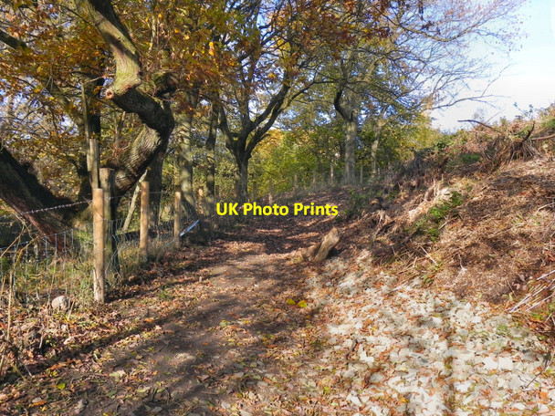 Photo 6"x4" Path Between Sion Street And Hutchinson Way, Radcliffe Radcliffe\/SD7807 c2010