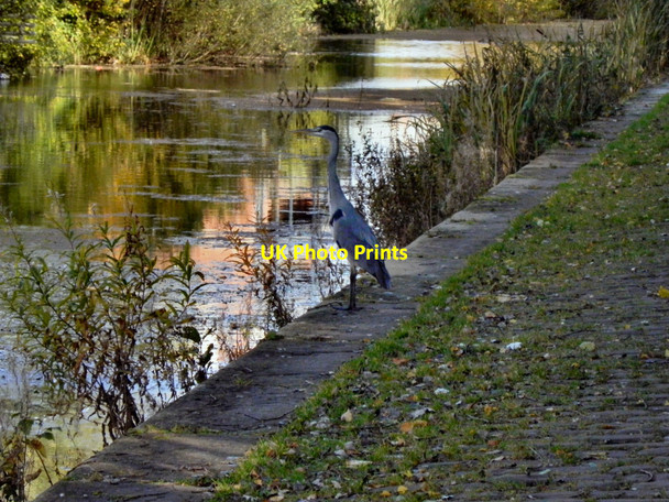 Photo 6"x4" Bury & Bolton Canal Radcliffe\/SD7807 c2010
