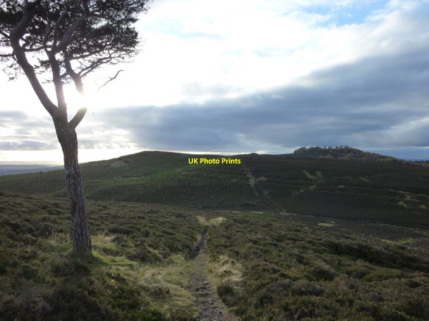Photo 6"x4" Balluderon Hill From the East Old Balkello c2010