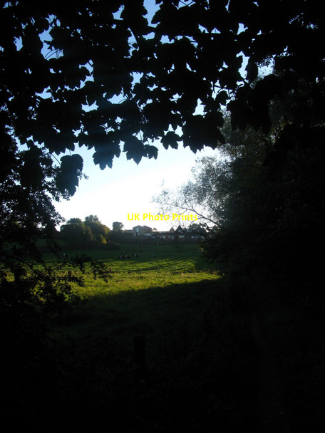 Photo 6"x4" Smallbrook Meadows Warminster c2010