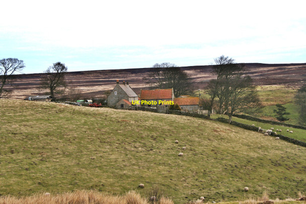 Photo 6"x4" Clitherbeck Farm Ainthorpe c2008