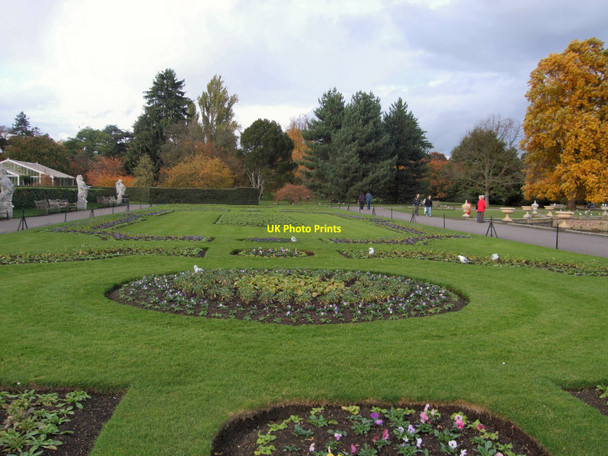 Photo 6"x4" Garden near Palm House Brentford c2010