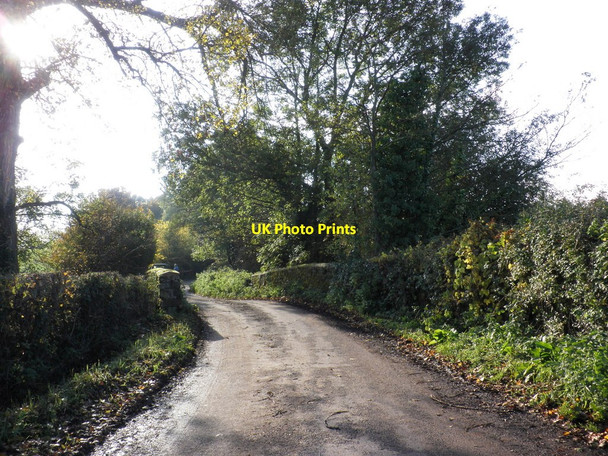 Photo 6"x4" Bridge across stream, near Allerford Allerford\/ST1725 c2010