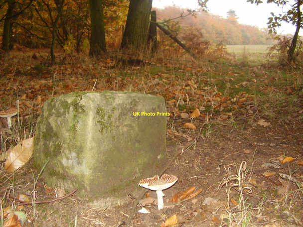 Photo 6"x4" Old Parish Boundary Stone (B for Budby) Meden Vale c2005
