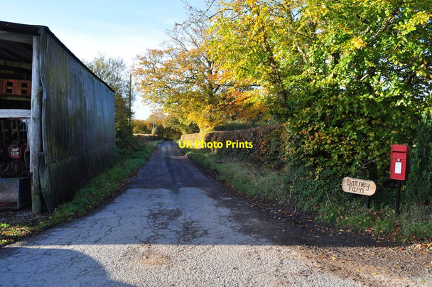Photo 6"x4" A track which leads to Batney Farm and Bourne Park Meshaw c2010