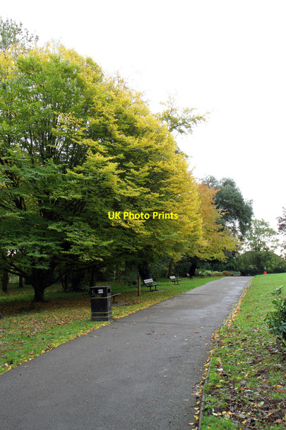 Photo 6"x4" Alexandra Park Hornsey c2010