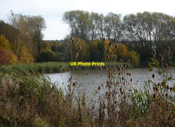 Photo 6"x4" The Old Flash in autumn Bolsover c2010