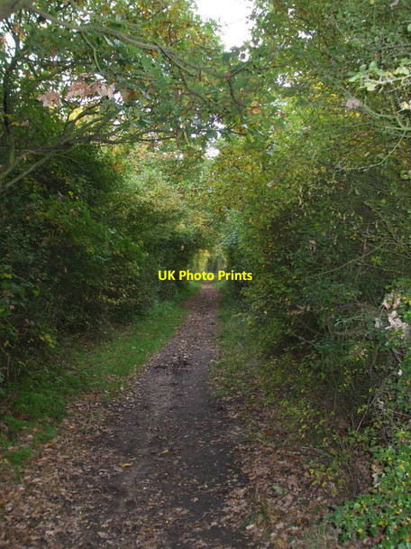 Photo 6"x4" Long Lane Brandy Hole c2010