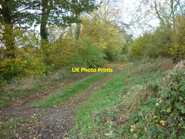 Photo 6"x4" West on Badger Lane off the A19 Selby Road Walden Stubbs c2010