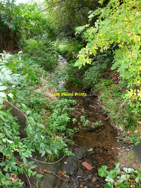 Photo 6"x4" Urban Stream Rayleigh c2010