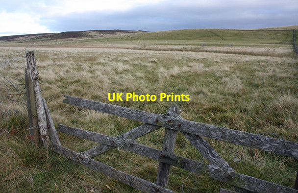 Photo 6"x4" Rough grazing near Cabrach House Cabrach\/NJ3827 c2010