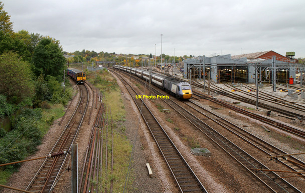 Photo 6"x4" Bounds Green Wood Green\/TQ3090 c2010