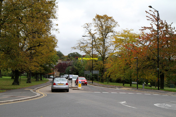 Photo 6"x4" Park Avenue Wood Green\/TQ3090 c2010