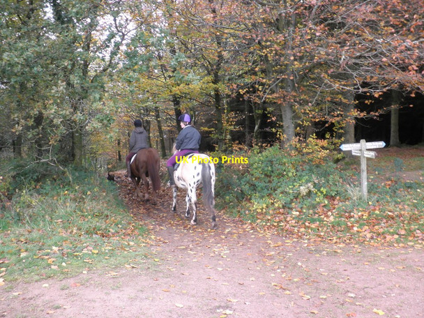 Photo 6"x4" Pony riders, on Hopcott Common Cowbridge\/SS9542 c2010