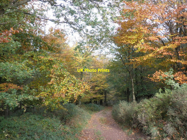 Photo 6"x4" Bridleway, on Periton Hill Cowbridge\/SS9542 c2010