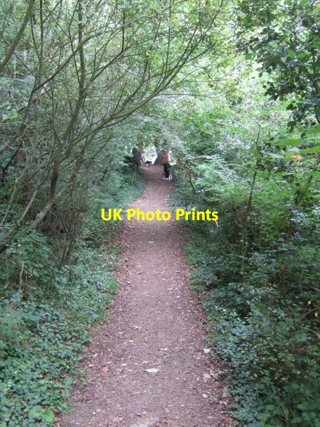 Photo 6"x4" Coastal footpath in the woods of Luccombe Cliff Shanklin c2010