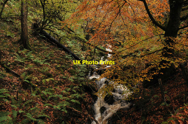 Photo 6"x4" Stream flowing to the sea near Kilchoan Melfort c2010