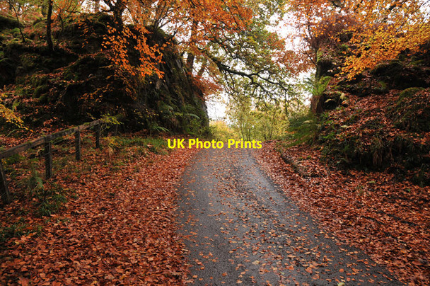 Photo 6"x4" Minor road cut through rock near Kilchoan Melfort c2010