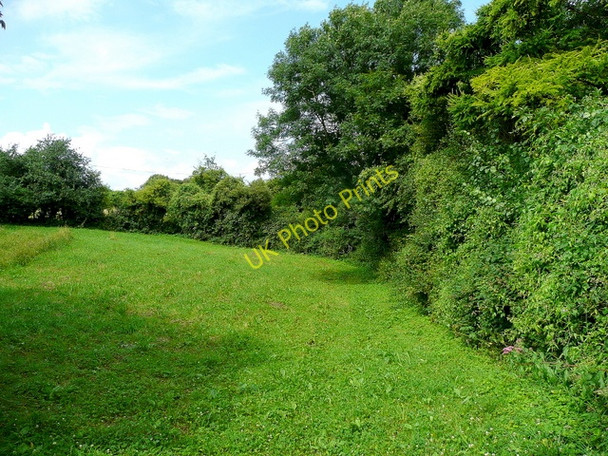 Photo 6"x4" Small piece of pasture Kiln Green\/SO6019 c2009