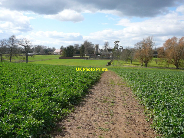 Photo 6"x4" On the Jurassic Way approaching Ashby St Ledgers from the east Ashby St Ledgers c2010